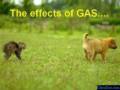 effects of gas